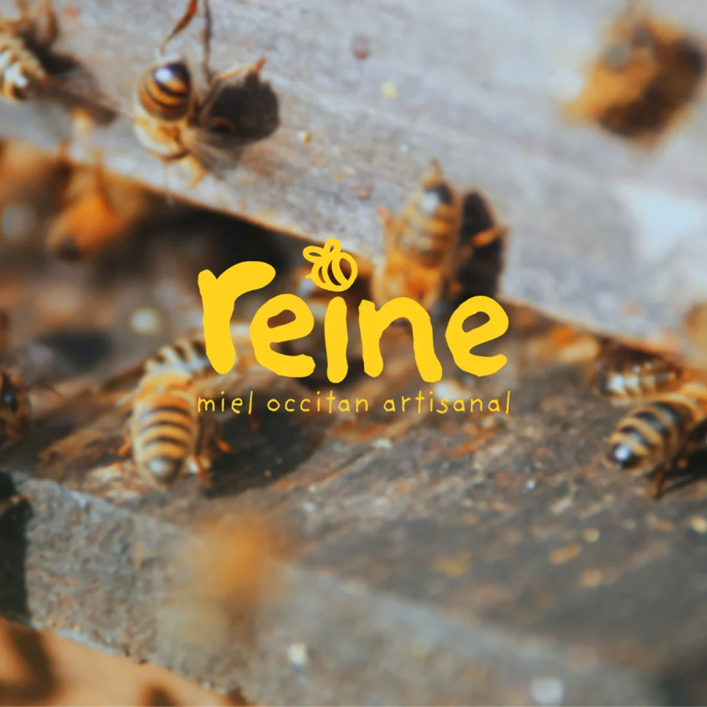 portfolio logo reine